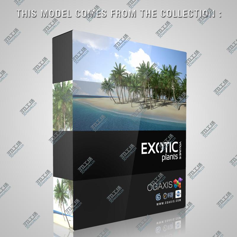 images/goods_img/2021040231/CGAxis Date Palm 03/3.jpg